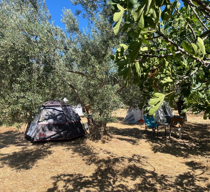 Çadır / Karavan Yeri